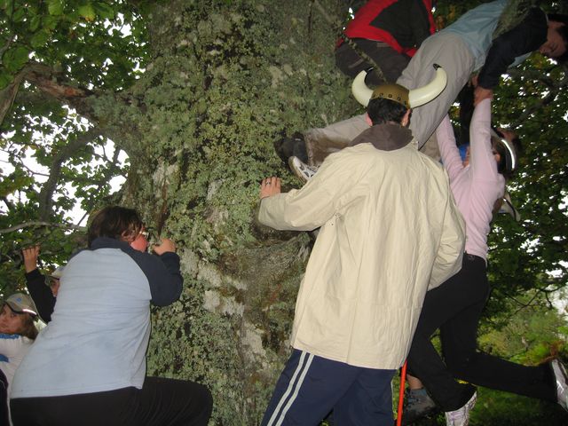 Asturias joven emprenda Parque Redes