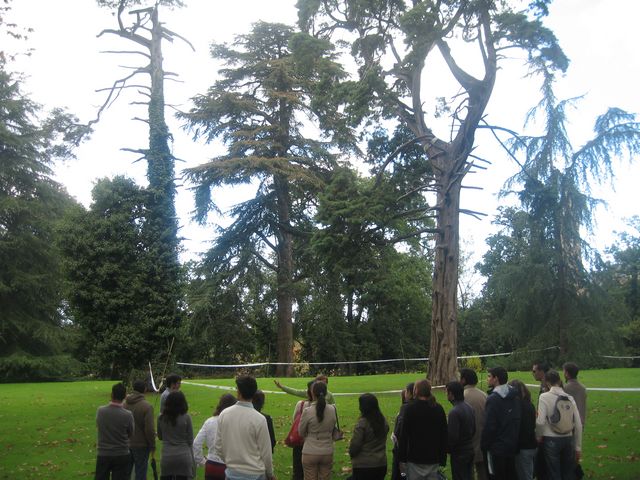 Asturias joven emprenda Jardín Botánico