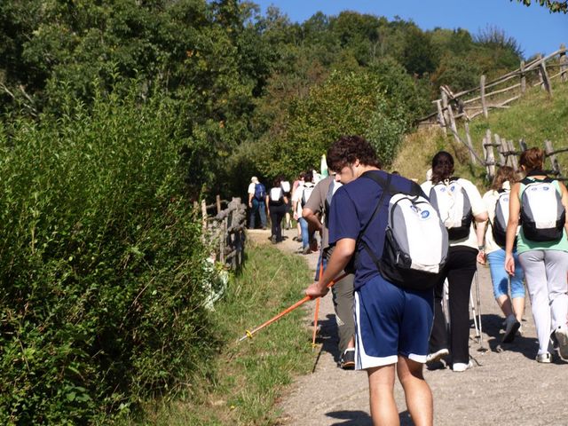 Asturias joven emprenda Orientación Triguero