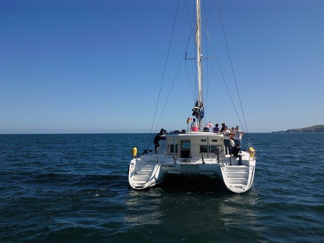 Asturias joven emprenda Catamarán