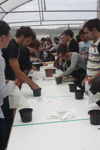 Asturias joven emprenda Jardín Botánico