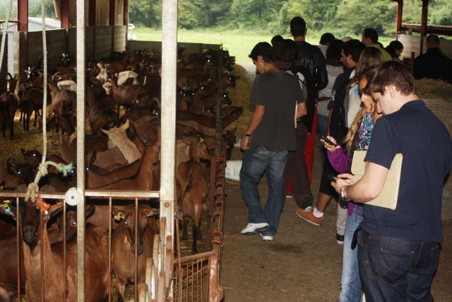 Asturias joven emprenda Quesería Bedón y Molín Tresgrandas