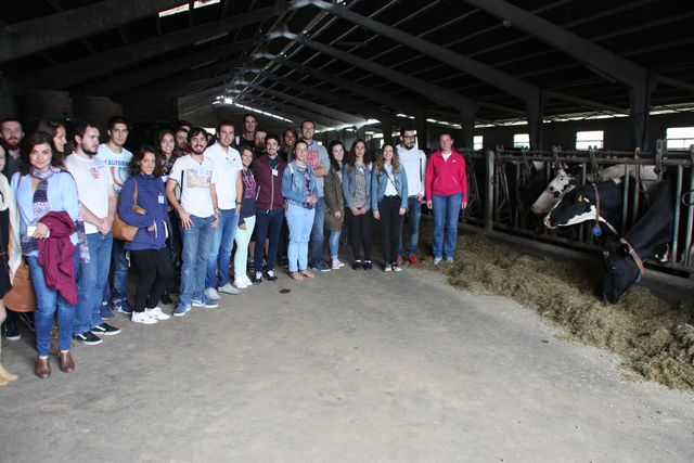 Asturias joven emprenda Visitas Empresas