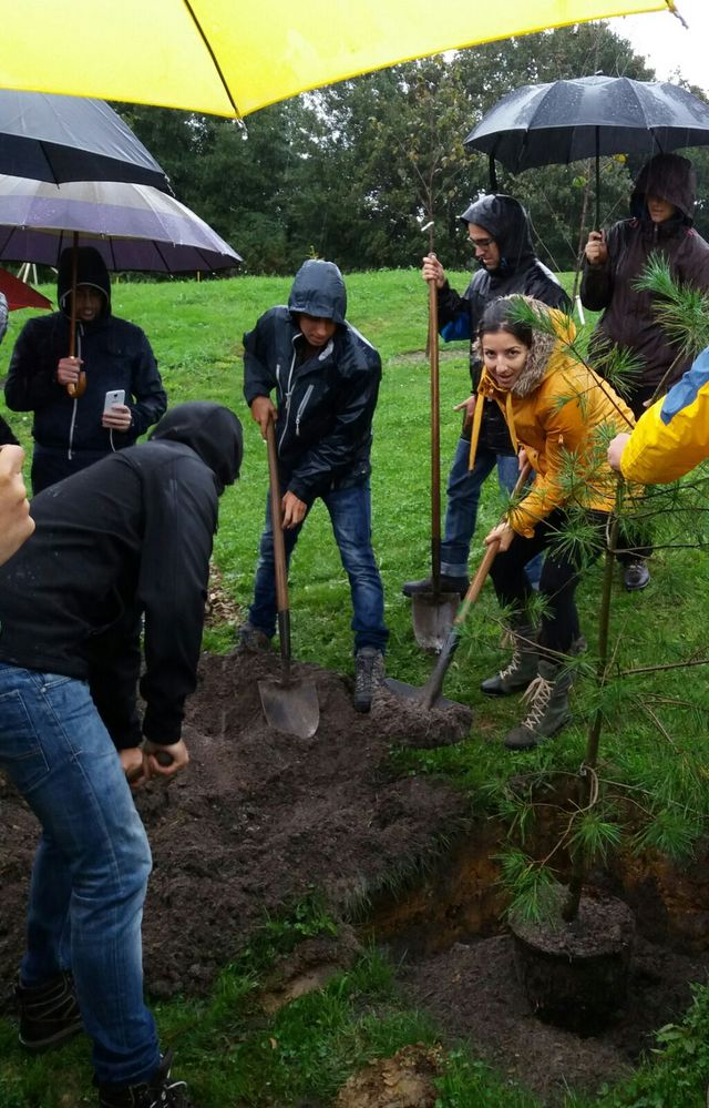 Asturias joven emprenda Botánico