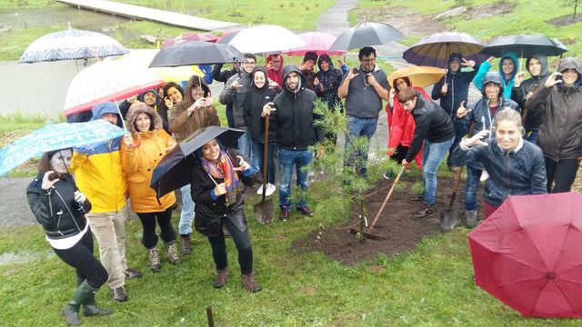 Asturias joven emprenda Botánico