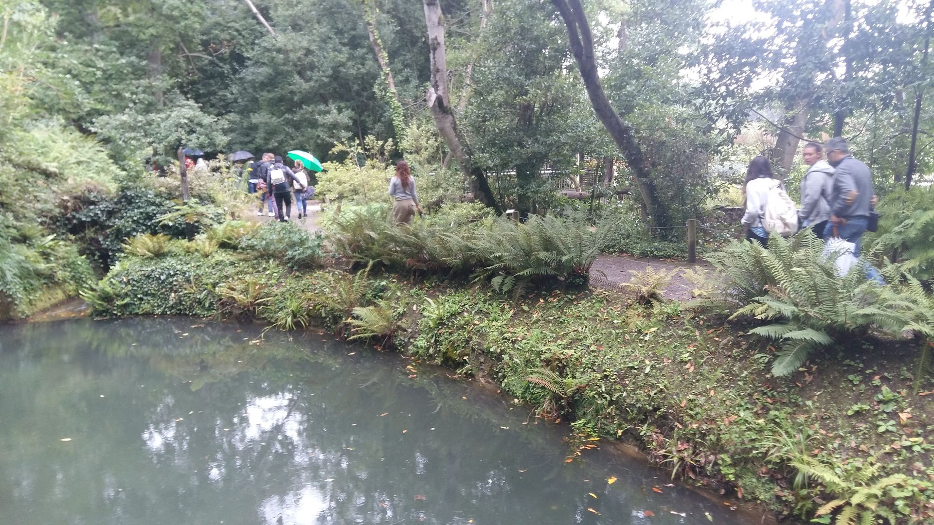 Asturias joven emprenda Botánico