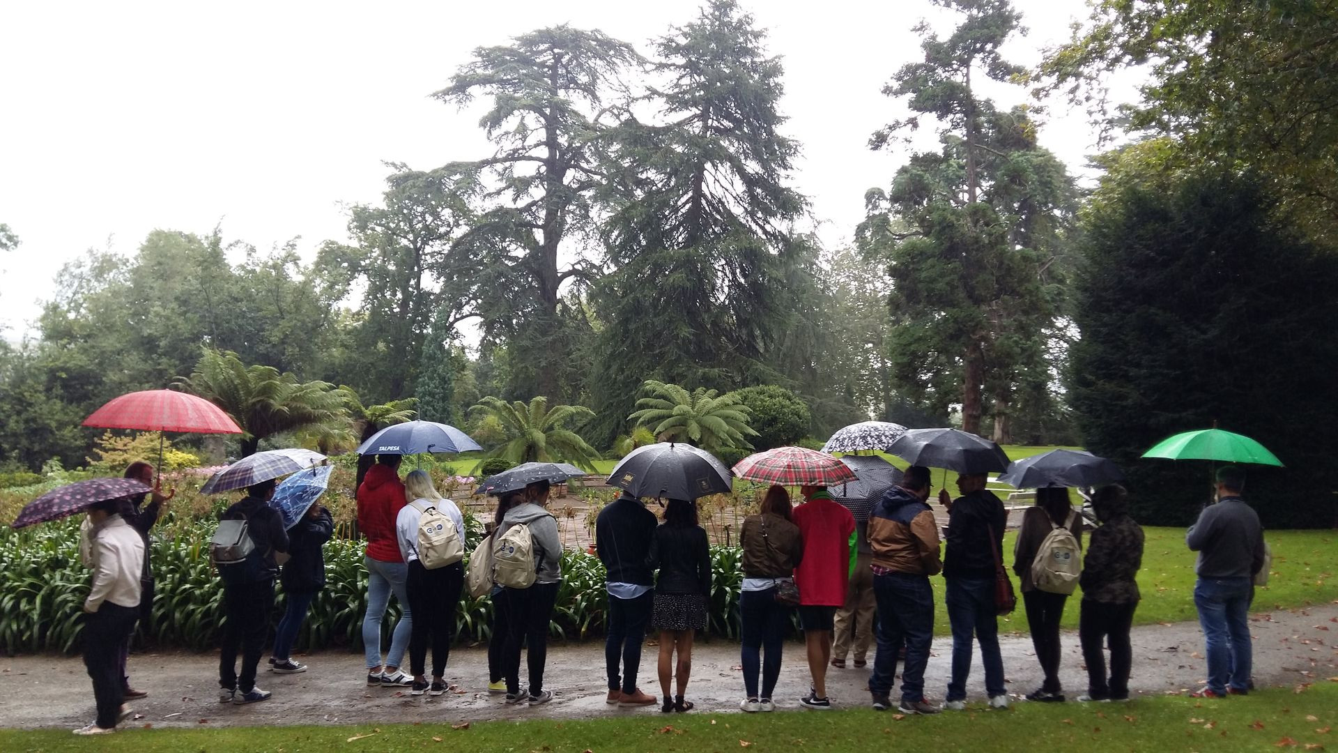 Asturias joven emprenda Botánico