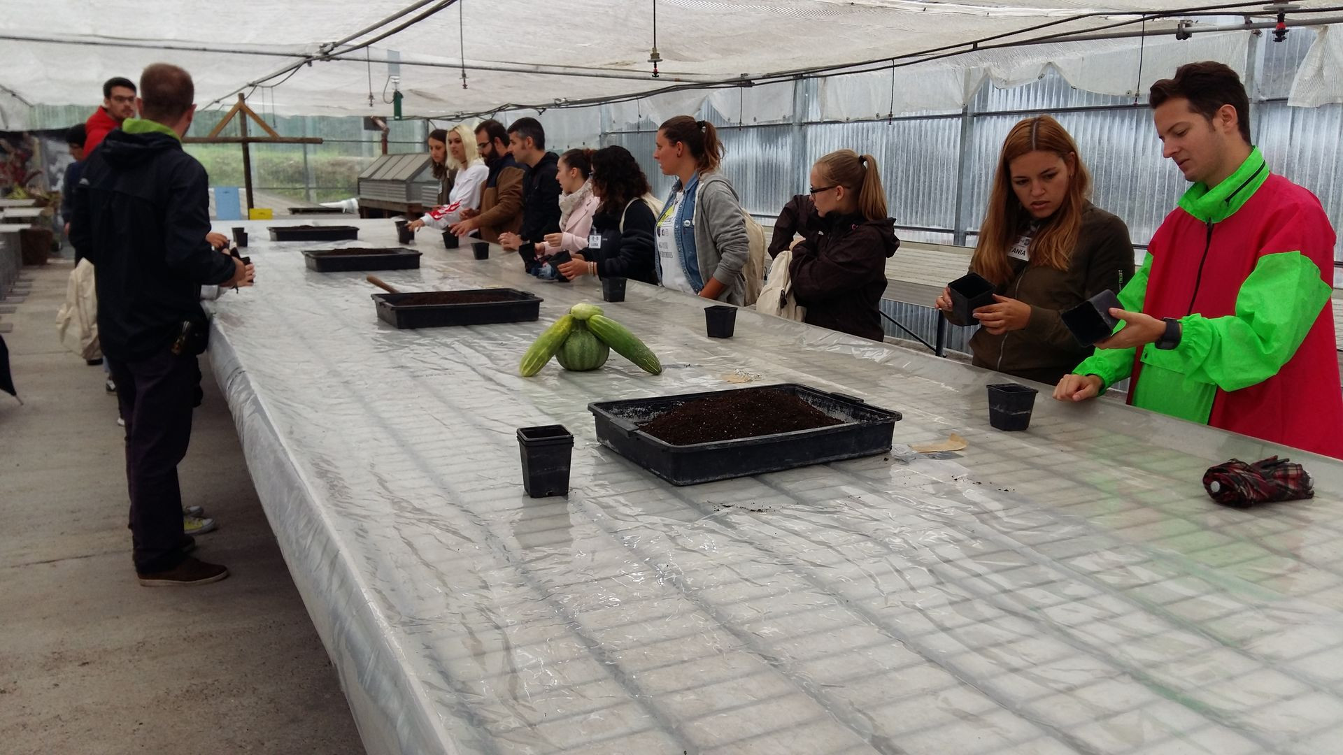 Asturias joven emprenda Botánico