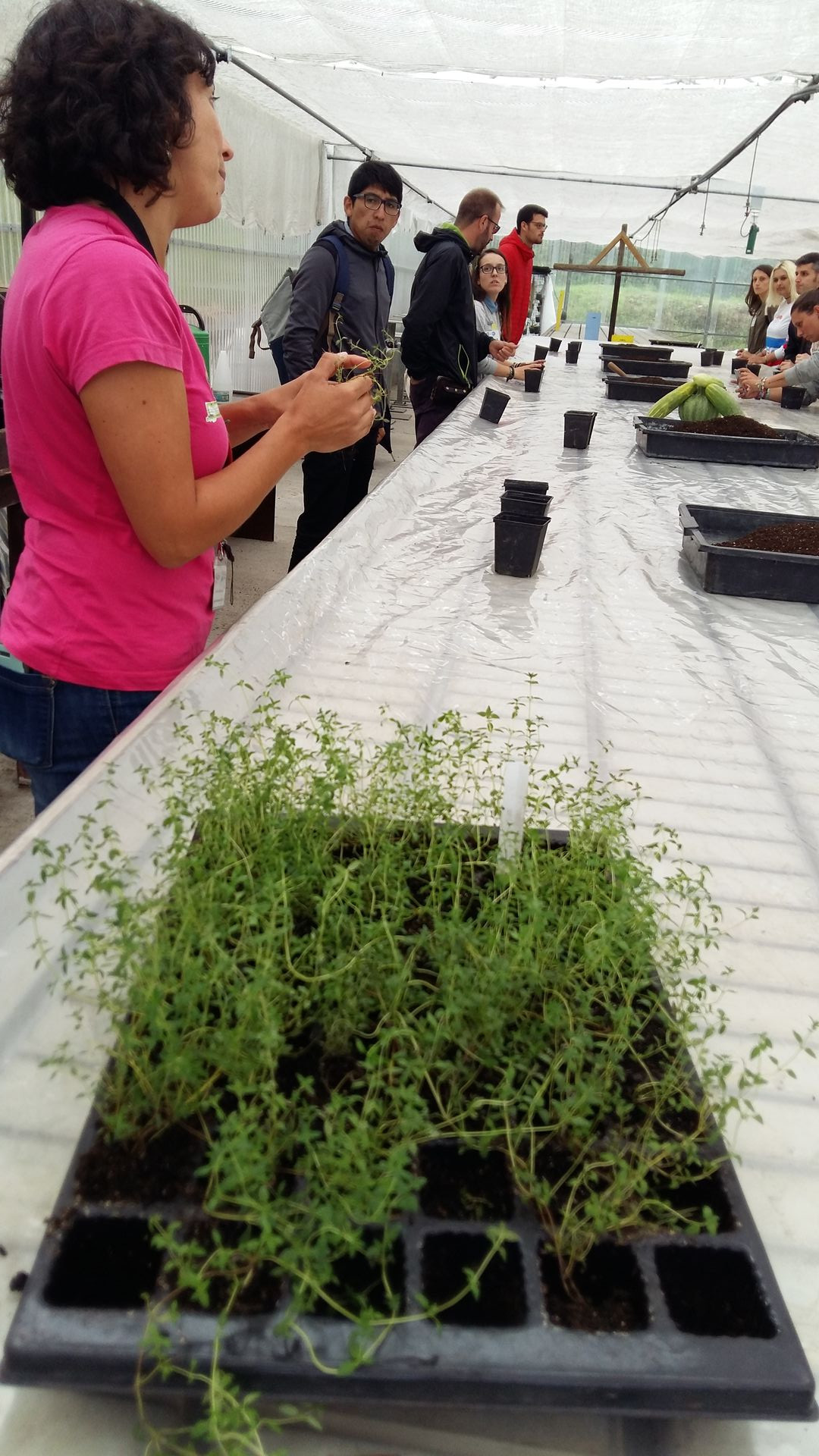 Asturias joven emprenda Botánico