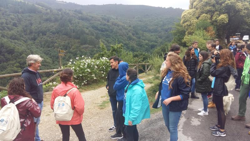 Asturias joven emprenda Visitas