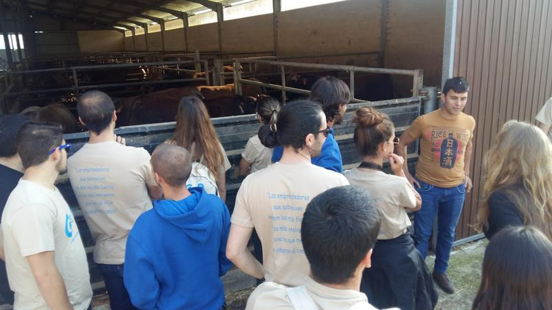 Asturias joven emprenda Ganadería vacuno Quintá