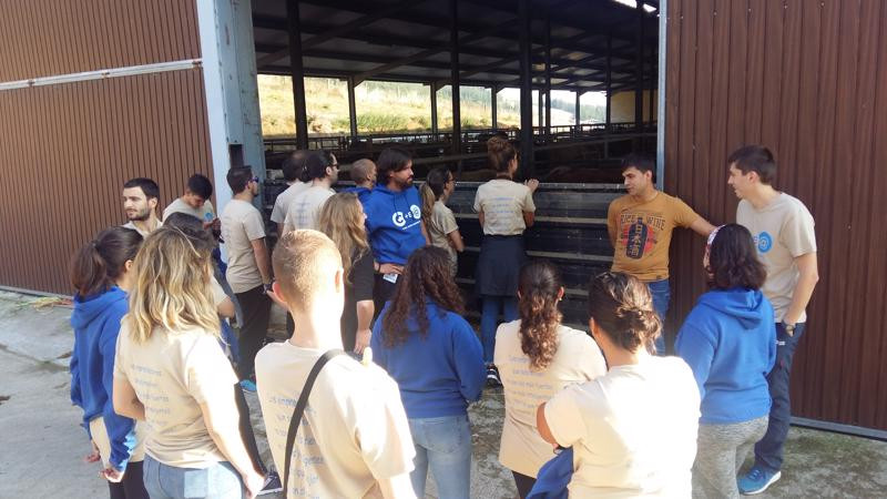 Asturias joven emprenda Ganadería vacuno Quintá