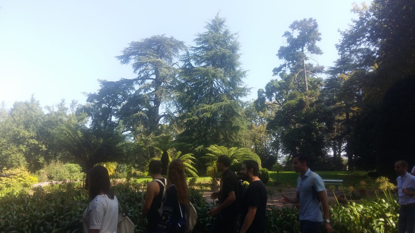 Asturias joven emprenda Jardín botánico