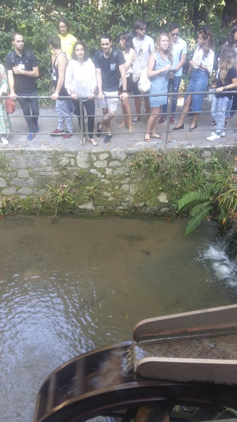 Asturias joven emprenda Jardín botánico