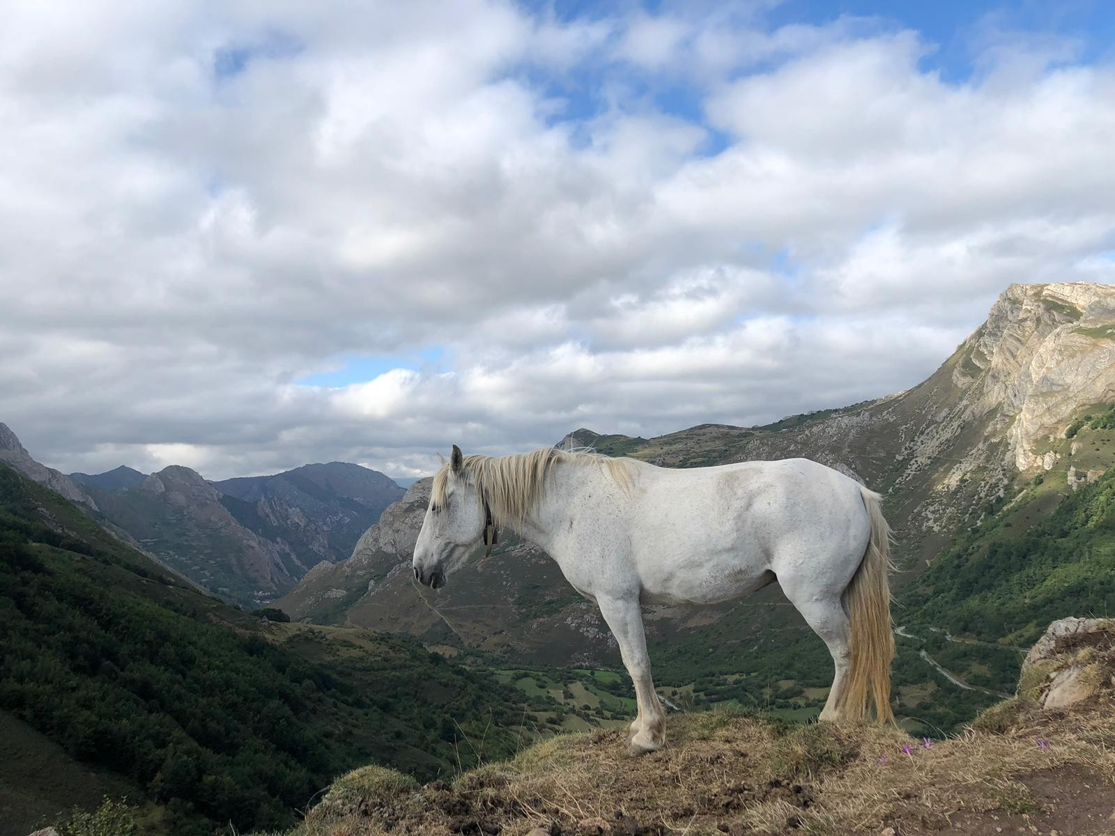 Asturias joven emprenda Visitas La Peral