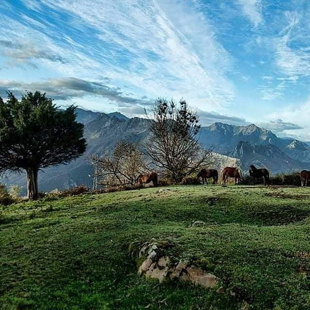 Asturias joven emprenda Comida Picnic vistas