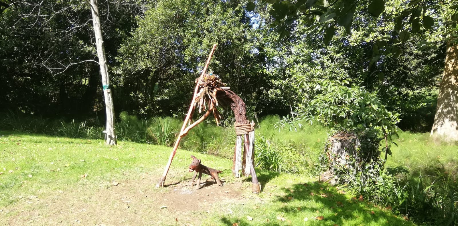 Asturias joven emprenda Jardín Botánico