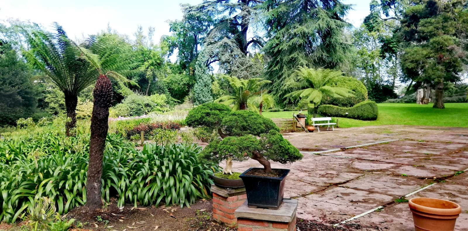 Asturias joven emprenda Jardín Botánico