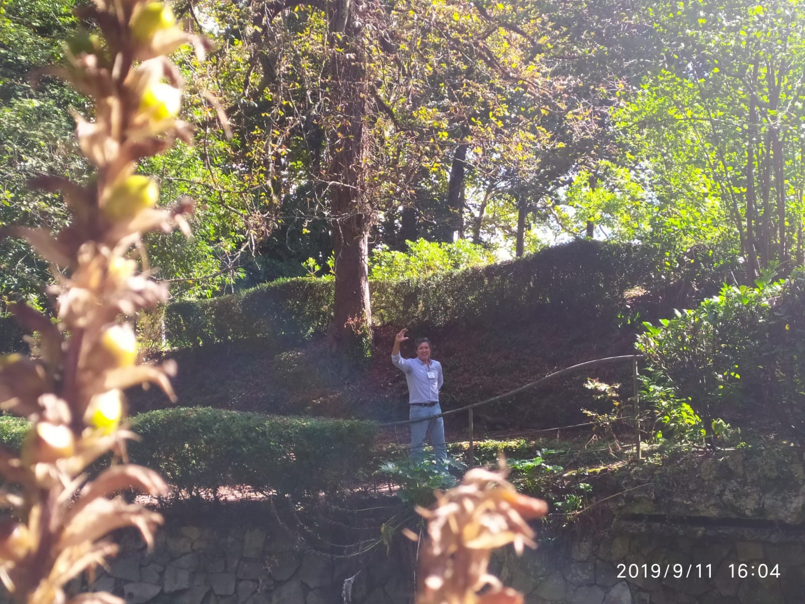 Asturias joven emprenda Jardín Botánico