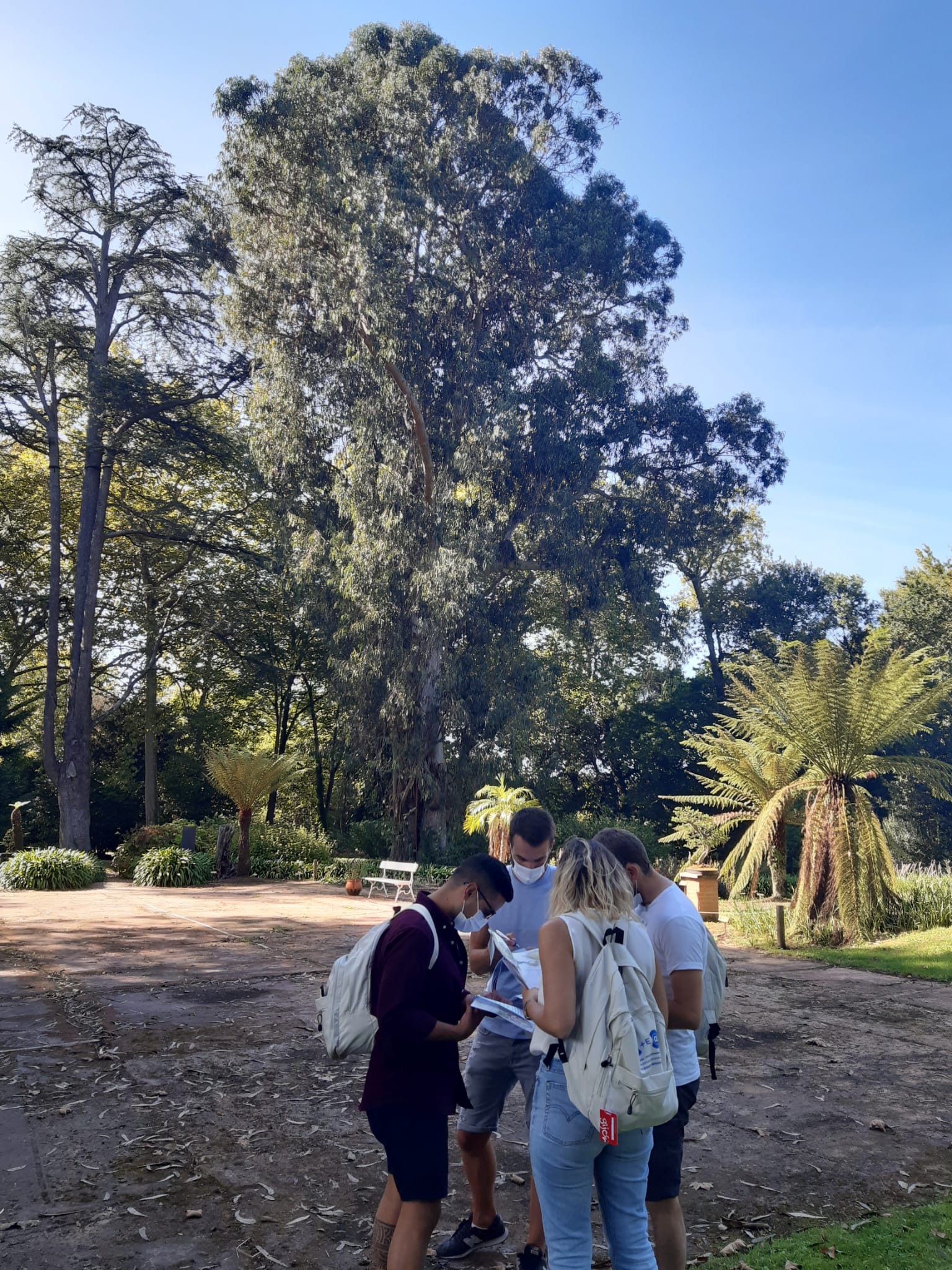 Asturias joven emprenda Búsqueda tesoro