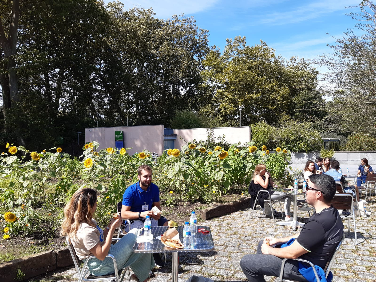 Asturias joven emprenda Comida Botánico