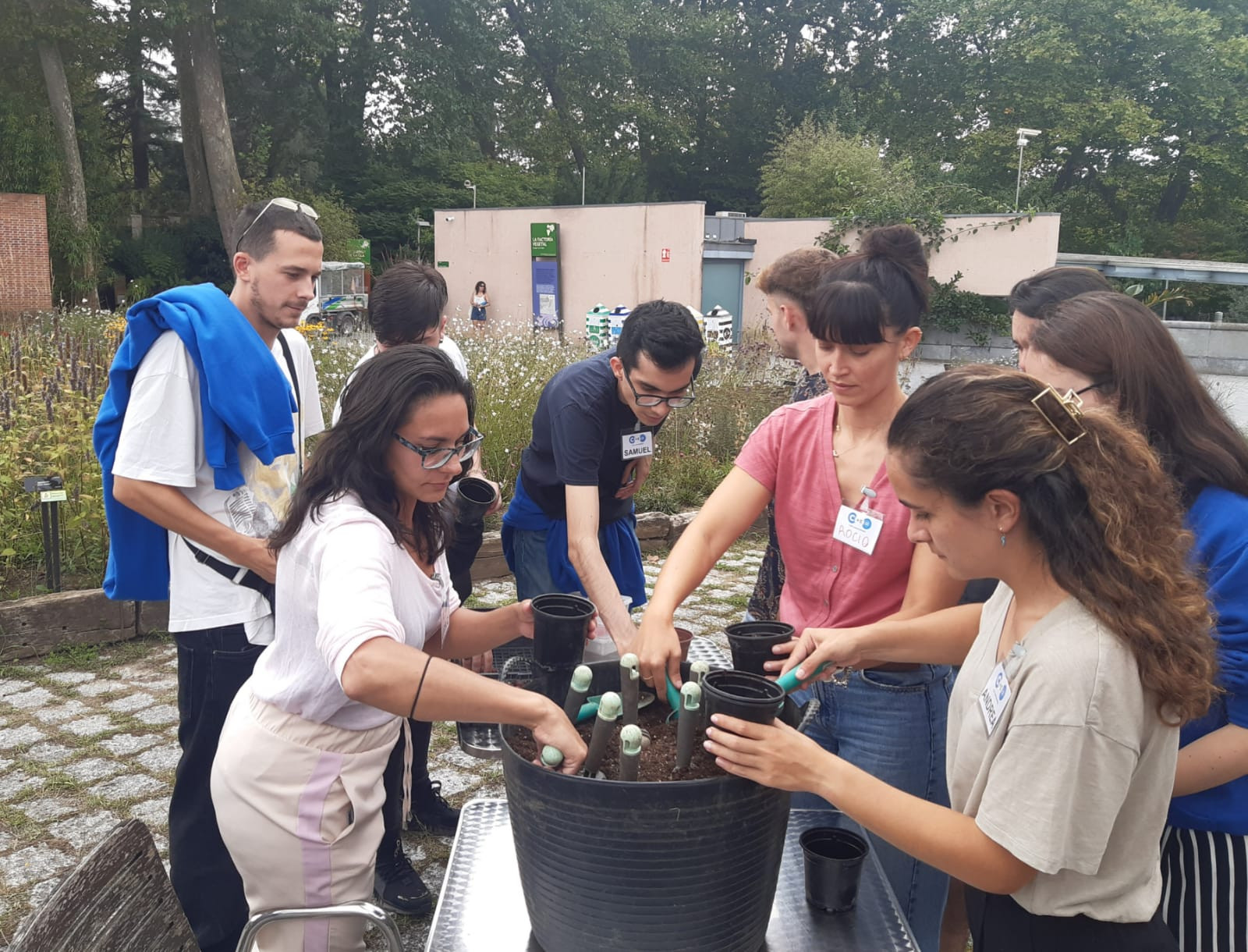 Asturias joven emprenda Plantación árbol